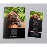 Brochure Ecurie des Charmes