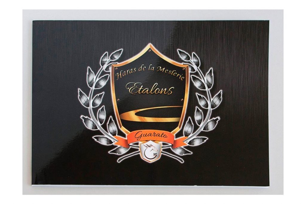 Logo avec dorure à chaud